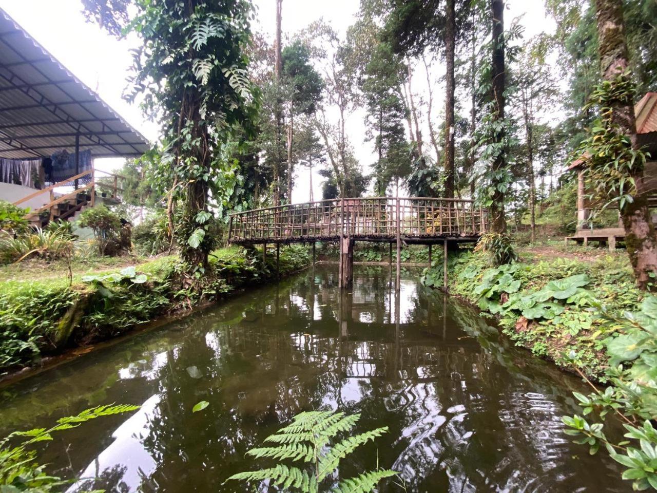 Magnolia Farmhouse And Homestay Darjeeling  Ngoại thất bức ảnh